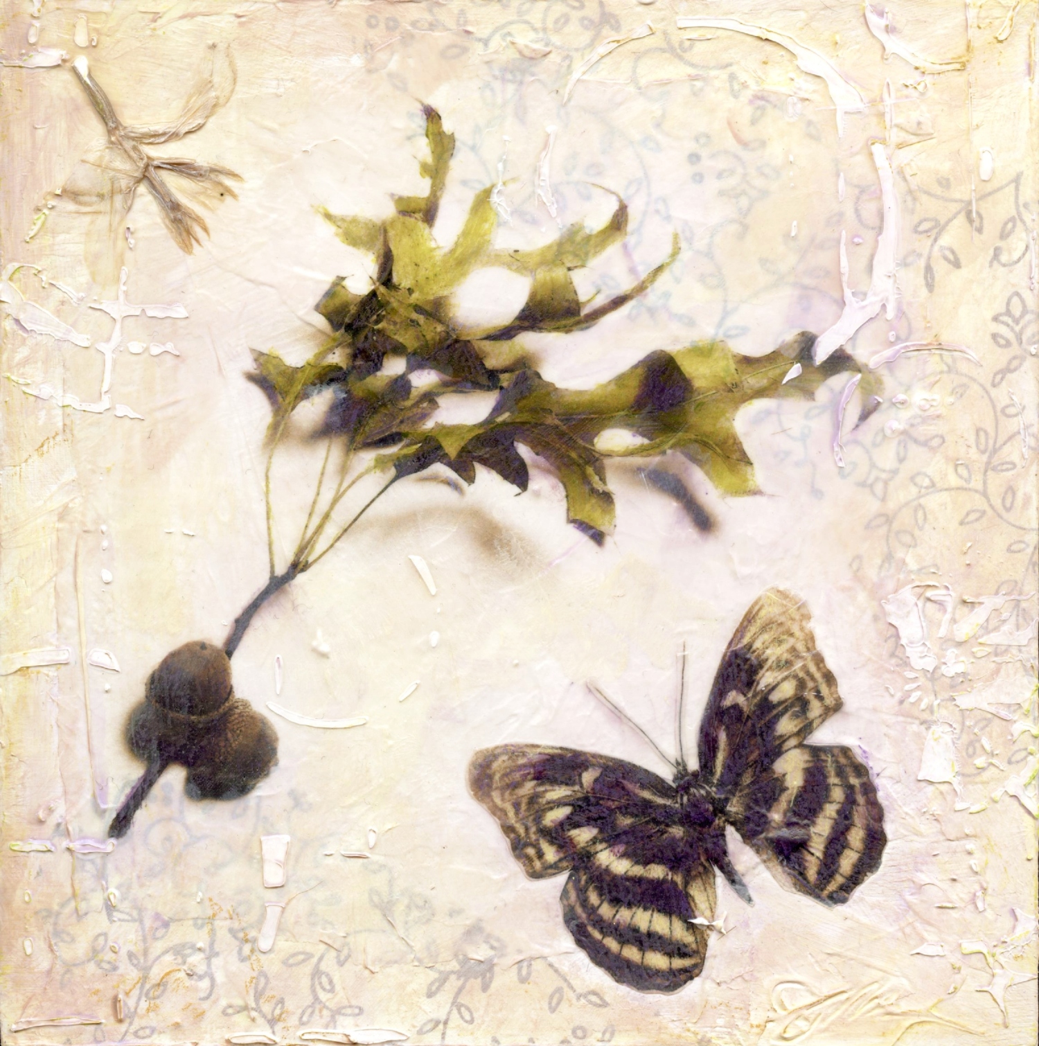 "Bittersweet" butterfly & leaf 8x8 mixed media art by Judith Monroe