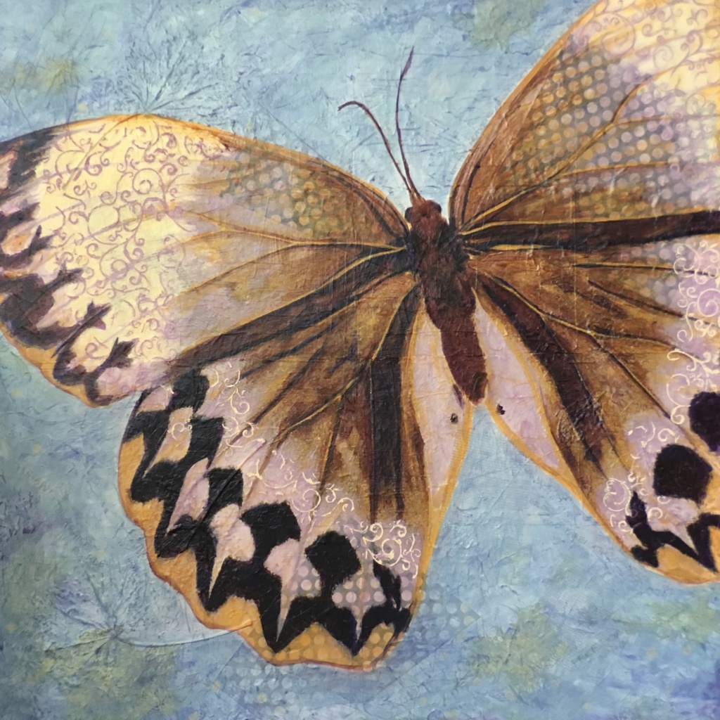 Butterfly, freedom, mixed media