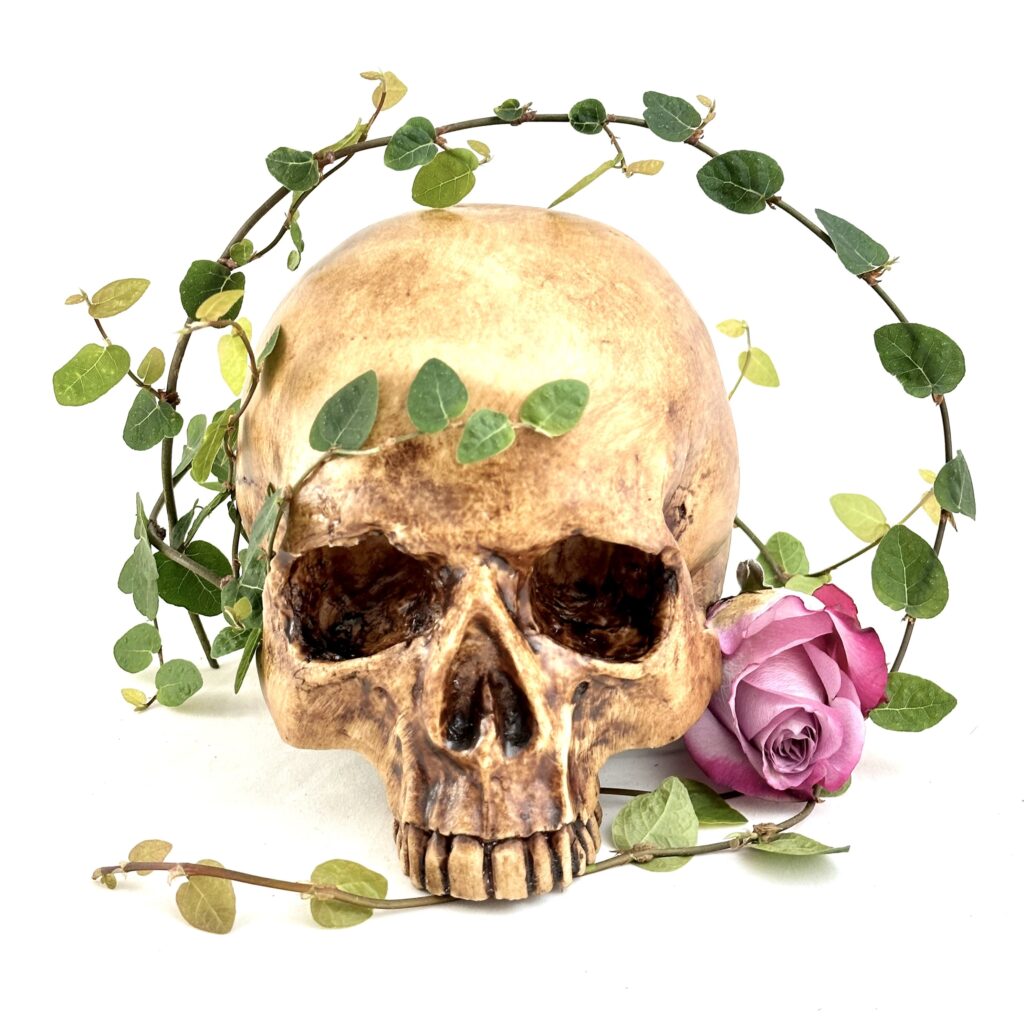 Skull with vines and rose
